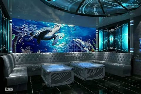 吉林ktv预订享受优质商务ktv预订服务-桦甸市ktv预订